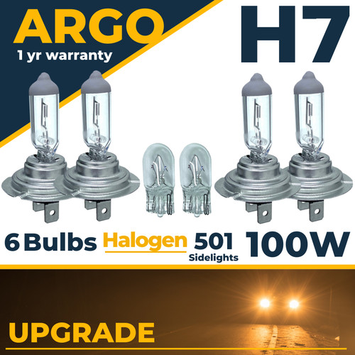 100w 499 halogen - 499,